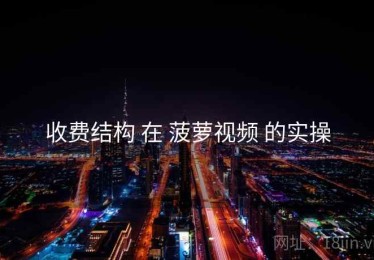 收费结构 在 菠萝视频 的实操