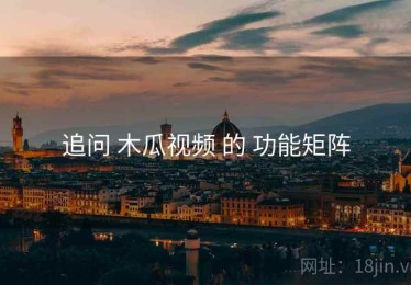 追问 木瓜视频 的 功能矩阵