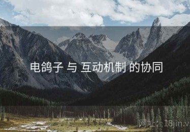 电鸽子 与 互动机制 的协同