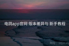 电鸽app官网 版本差异与 新手教程