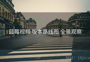 蓝莓视频 版本路线图 全景观察