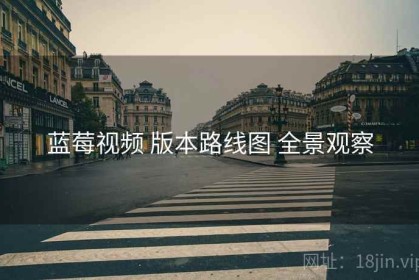 蓝莓视频 版本路线图 全景观察