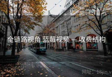 全链路视角 蓝莓视频 — 收费结构