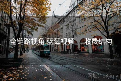 全链路视角 蓝莓视频 — 收费结构