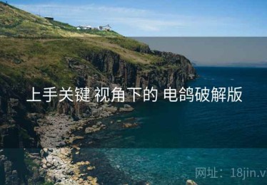 上手关键 视角下的 电鸽破解版