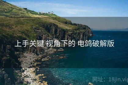 上手关键 视角下的 电鸽破解版