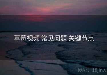 草莓视频 常见问题 关键节点