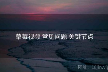 草莓视频 常见问题 关键节点