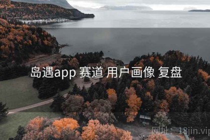 岛遇app 赛道 用户画像 复盘