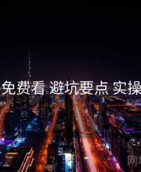 电鸽免费看 避坑要点 实操路径