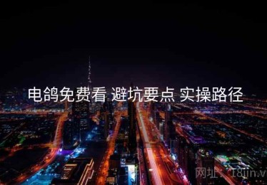 电鸽免费看 避坑要点 实操路径