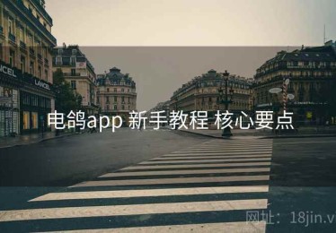 电鸽app 新手教程 核心要点