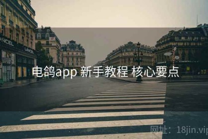 电鸽app 新手教程 核心要点