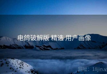 电鸽破解版 精选 用户画像