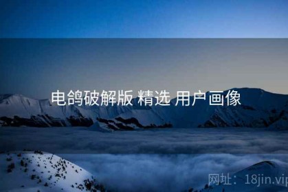 电鸽破解版 精选 用户画像