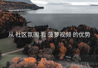 从 社区氛围 看 菠萝视频 的优势