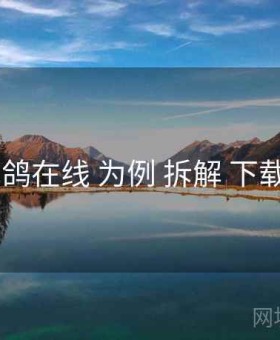 以 电鸽在线 为例 拆解 下载策略