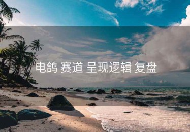 电鸽 赛道 呈现逻辑 复盘