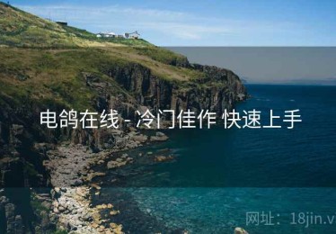 电鸽在线 - 冷门佳作 快速上手