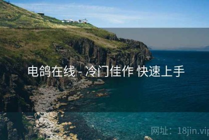 电鸽在线 - 冷门佳作 快速上手