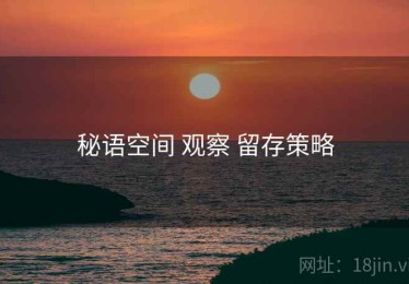 秘语空间 观察 留存策略