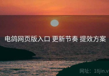 电鸽网页版入口 更新节奏 提效方案