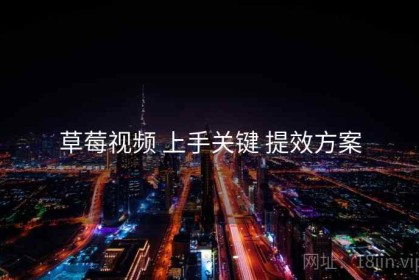 草莓视频 上手关键 提效方案
