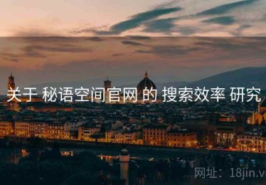 关于 秘语空间官网 的 搜索效率 研究