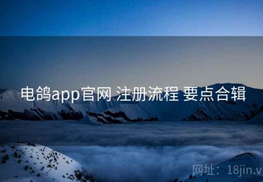 电鸽app官网 注册流程 要点合辑