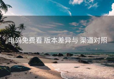 电鸽免费看 版本差异与 渠道对照