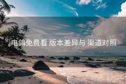电鸽免费看 版本差异与 渠道对照