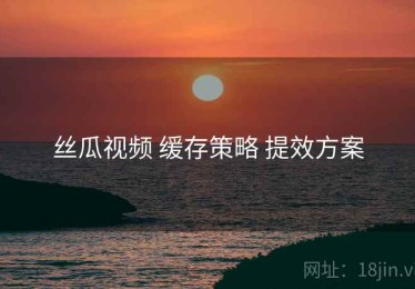 丝瓜视频 缓存策略 提效方案