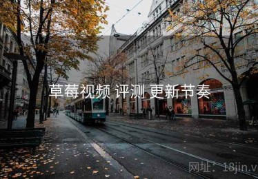 草莓视频 评测 更新节奏