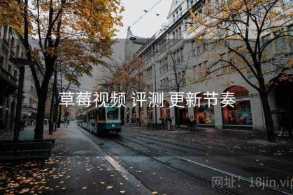 草莓视频 评测 更新节奏
