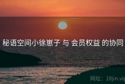秘语空间小徐崽子 与 会员权益 的协同