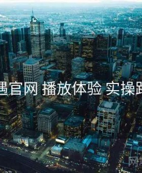 岛遇官网 播放体验 实操路径