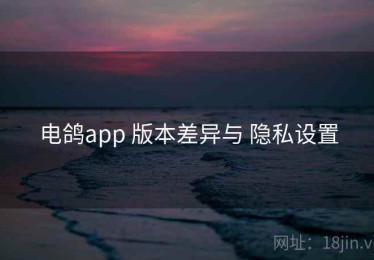 电鸽app 版本差异与 隐私设置