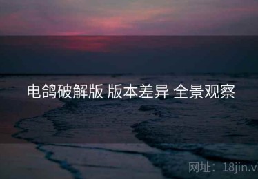 电鸽破解版 版本差异 全景观察