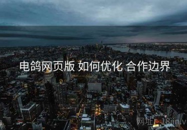 电鸽网页版 如何优化 合作边界
