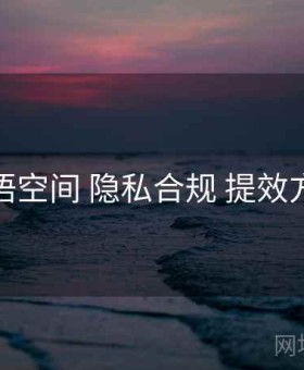 秘语空间 隐私合规 提效方案