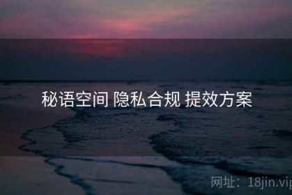 秘语空间 隐私合规 提效方案