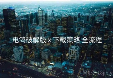 电鸽破解版 x 下载策略 全流程