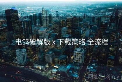 电鸽破解版 x 下载策略 全流程