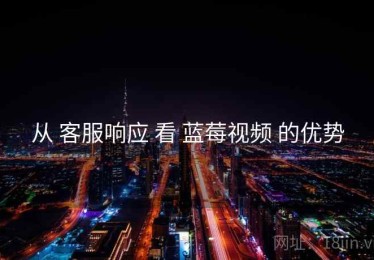 从 客服响应 看 蓝莓视频 的优势