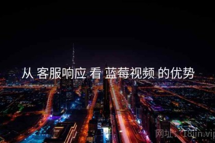 从 客服响应 看 蓝莓视频 的优势