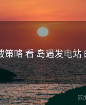 从 下载策略 看 岛遇发电站 的优势