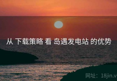从 下载策略 看 岛遇发电站 的优势