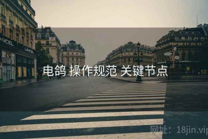 电鸽 操作规范 关键节点