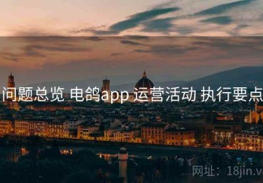 问题总览 电鸽app 运营活动 执行要点