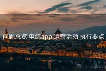 问题总览 电鸽app 运营活动 执行要点